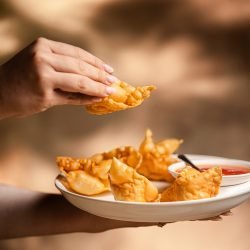Wontons